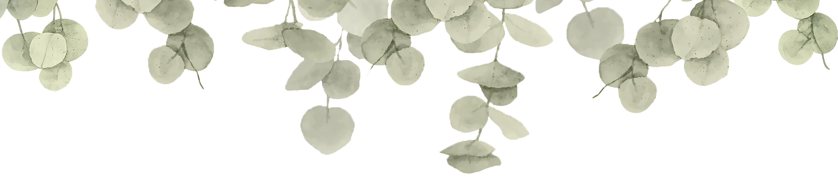 ユーカリの葉の装飾